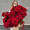51 пышная красная роза Хартс