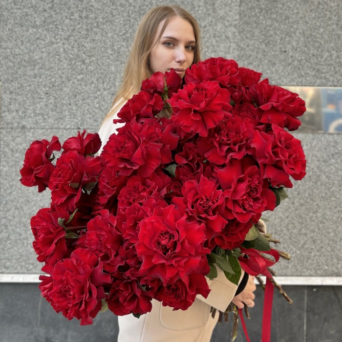 51 пышная красная роза Хартс