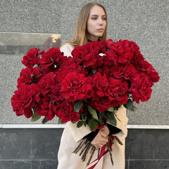 51 пышная красная роза Хартс