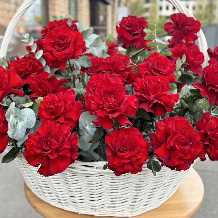 51 пышная красная роза Хартс в корзине