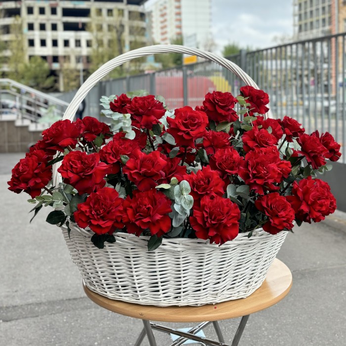 51 пышная красная роза Хартс в корзине