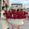 51 пышная красная роза Хартс в корзине