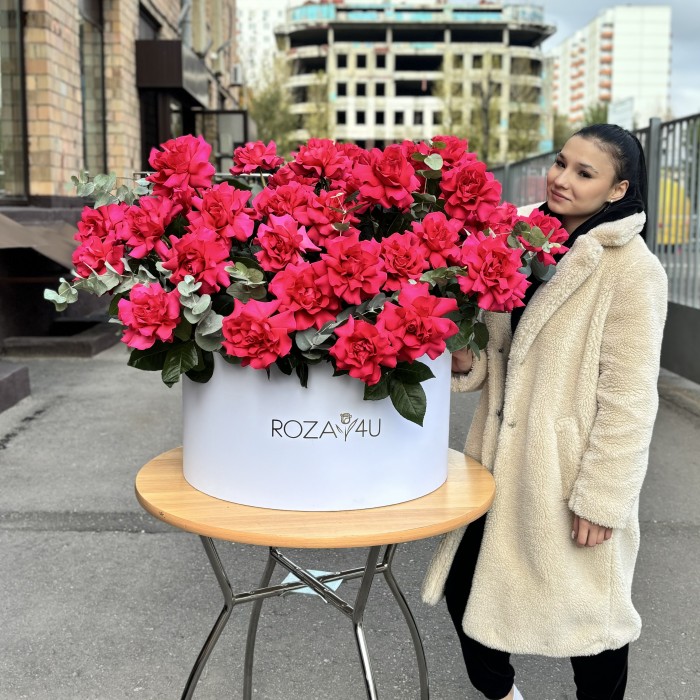 51 пышная малиновая роза с эвкалиптом в белой коробке