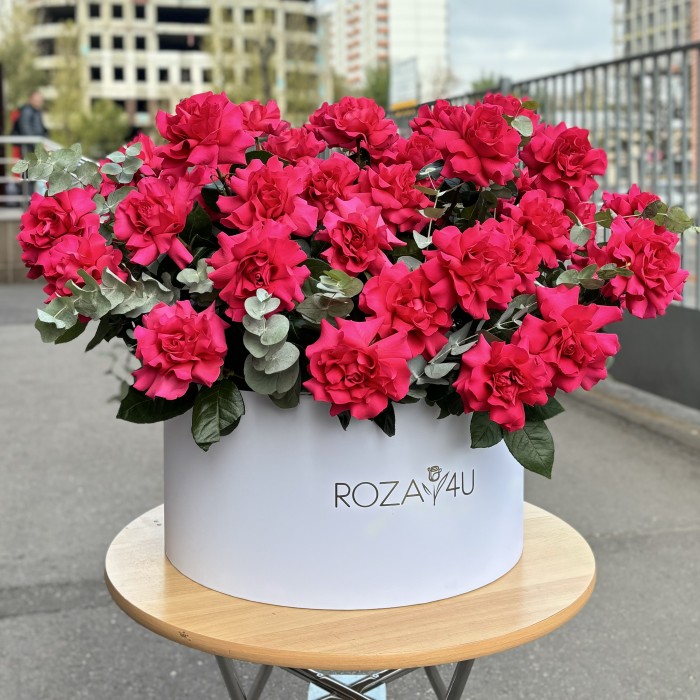 51 пышная малиновая роза с эвкалиптом в белой коробке
