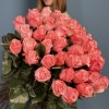 51 роза Би Свит 80 см