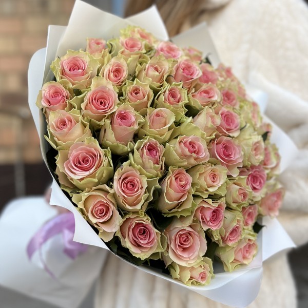 51 роза Топ - Гир 50 см