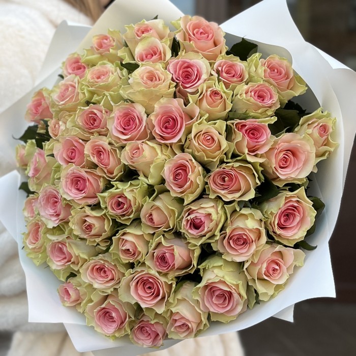 51 роза Топ - Гир 50 см