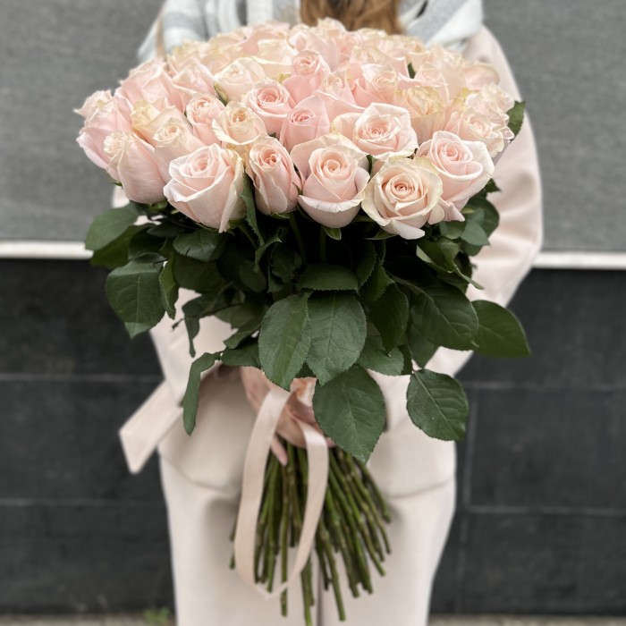 51 розовая роза Помароса