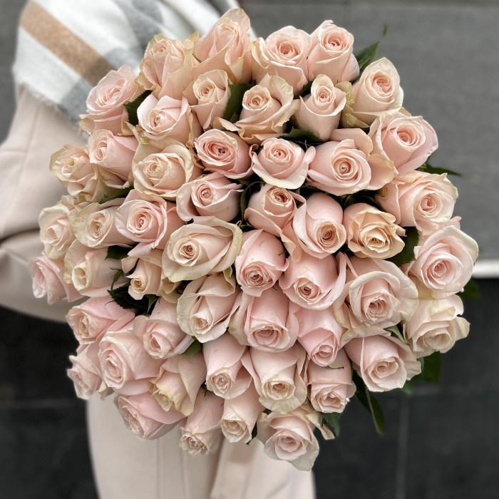 51 розовая роза Помароса