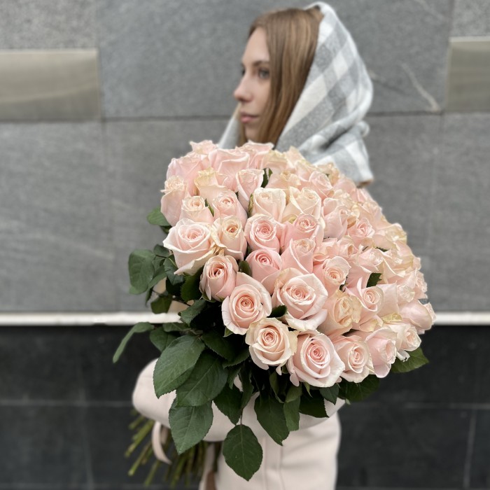 51 розовая роза Помароса