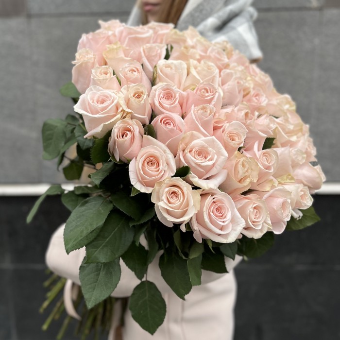 51 розовая роза Помароса