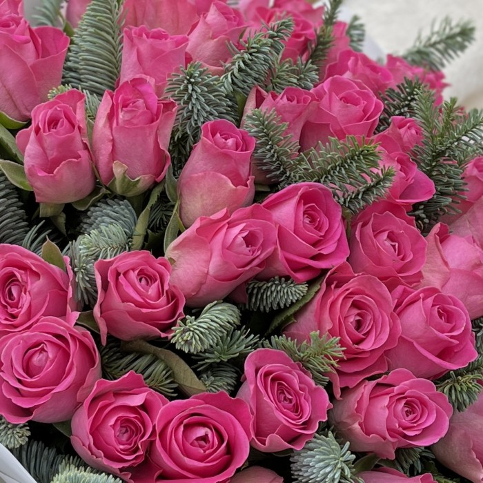 51 розовая роза с нобилисом