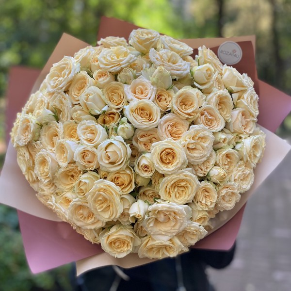 51 кремовая кустовая роза 50см