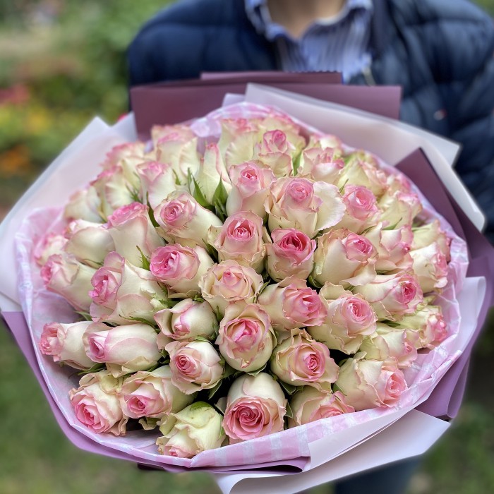 51 роза Бэби Лав