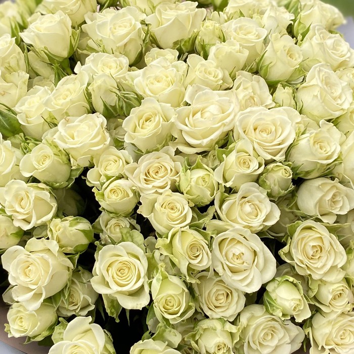 51 белая кустовая роза 40см