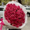 51 малиновo-белая роза Дабл Фэшн