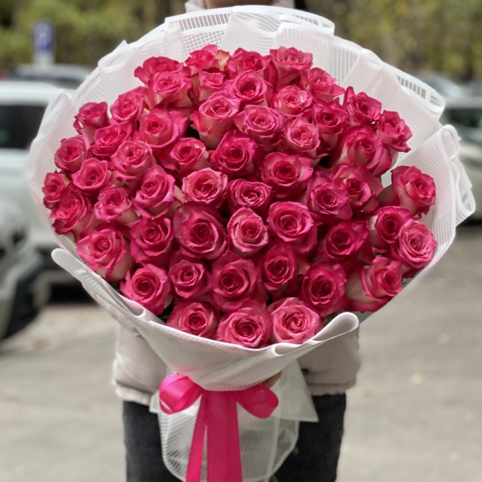 51 малиновo-белая роза Дабл Фэшн