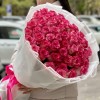 51 малиновo-белая роза Дабл Фэшн
