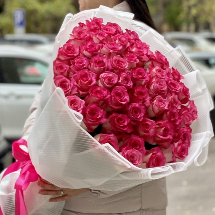 51 малиновo-белая роза Дабл Фэшн