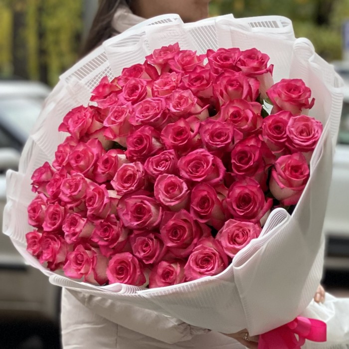 51 малиновo-белая роза Дабл Фэшн