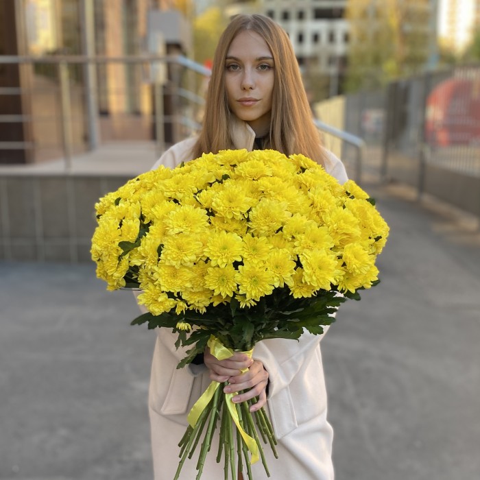 51 желтая кустовая хризантема Балтика
