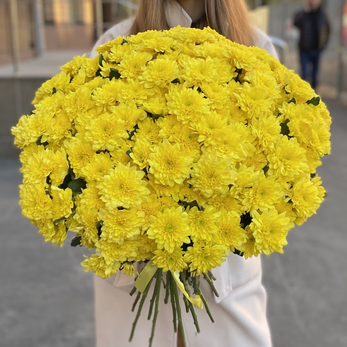 51 желтая кустовая хризантема Балтика