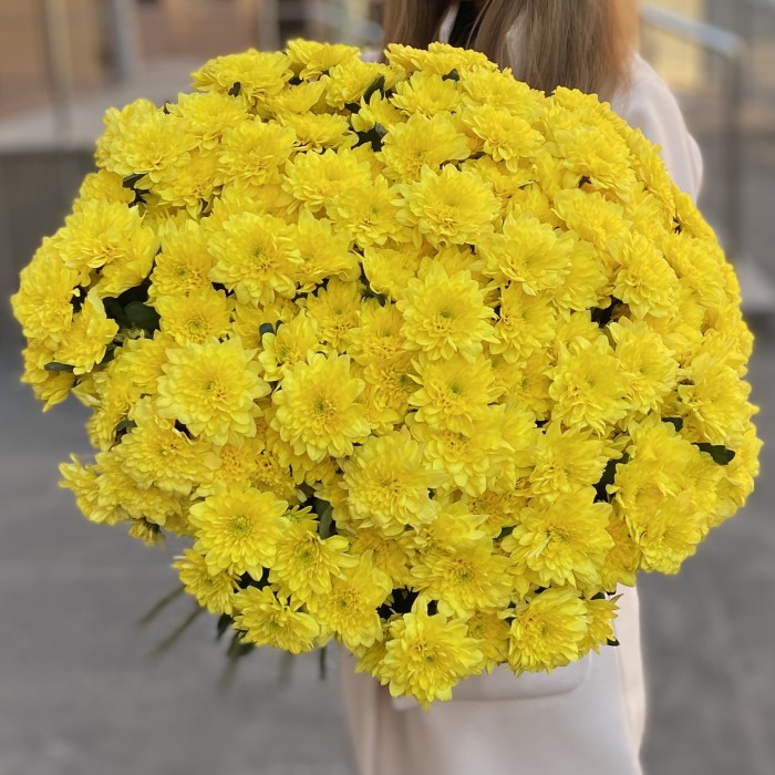 51 желтая кустовая хризантема Балтика