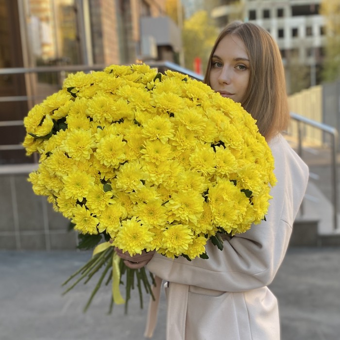 51 желтая кустовая хризантема Балтика