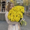 51 желтая кустовая хризантема Балтика
