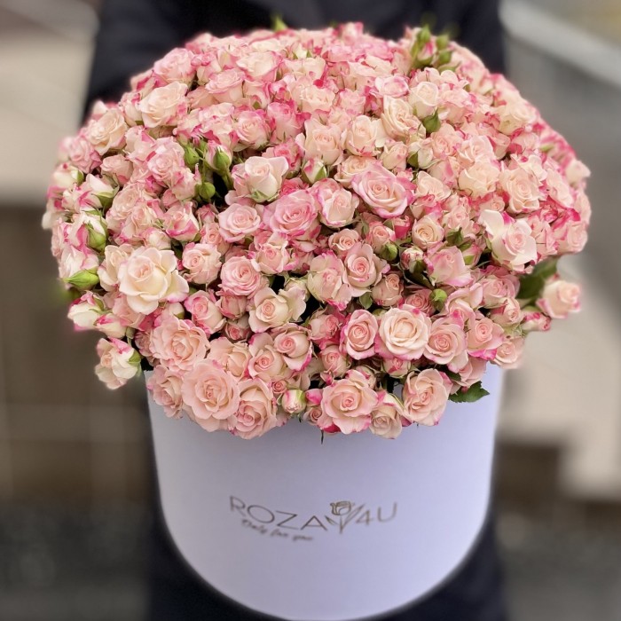 51 Кустовая роза Рефлекс в коробке