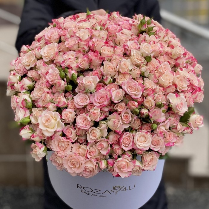 51 Кустовая роза Рефлекс в коробке