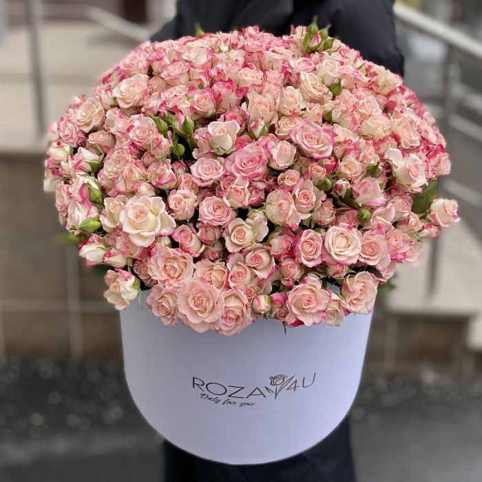 51 Кустовая роза Рефлекс в коробке