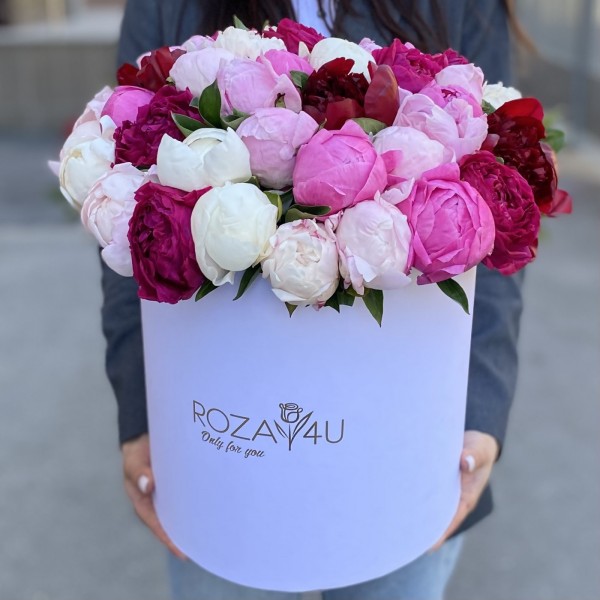 51 ароматный пион в коробке