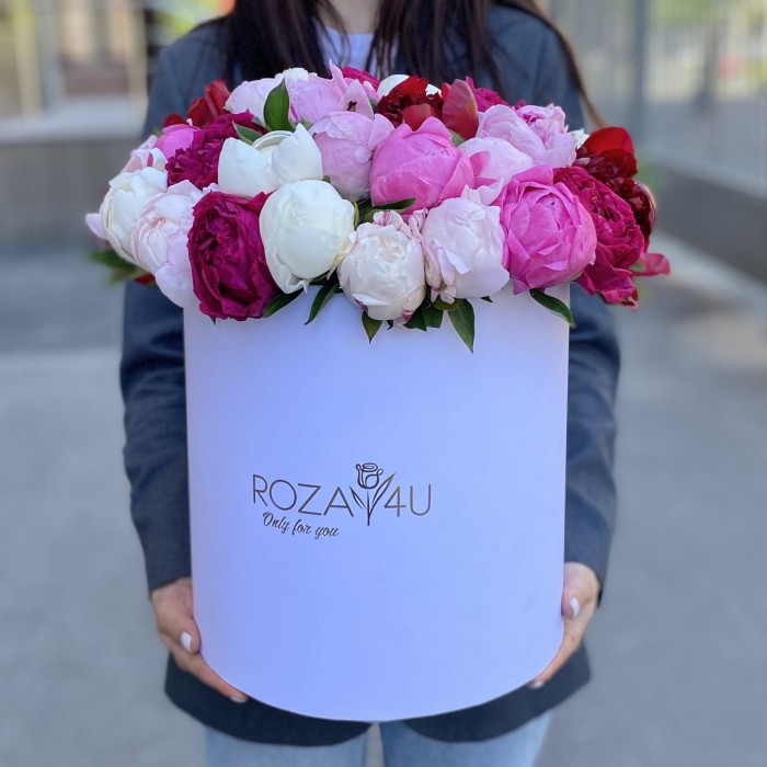 51 ароматный пион в коробке