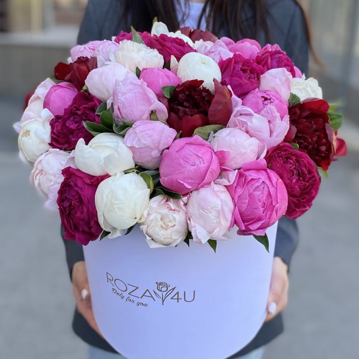 51 ароматный пион в коробке