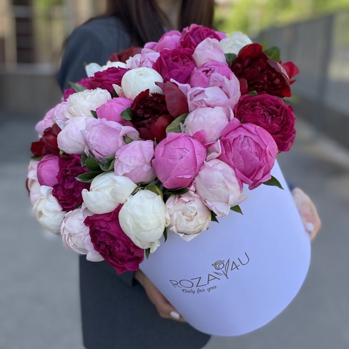 51 ароматный пион в коробке