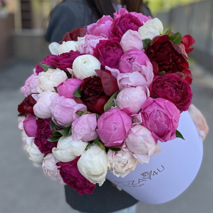 51 ароматный пион в коробке