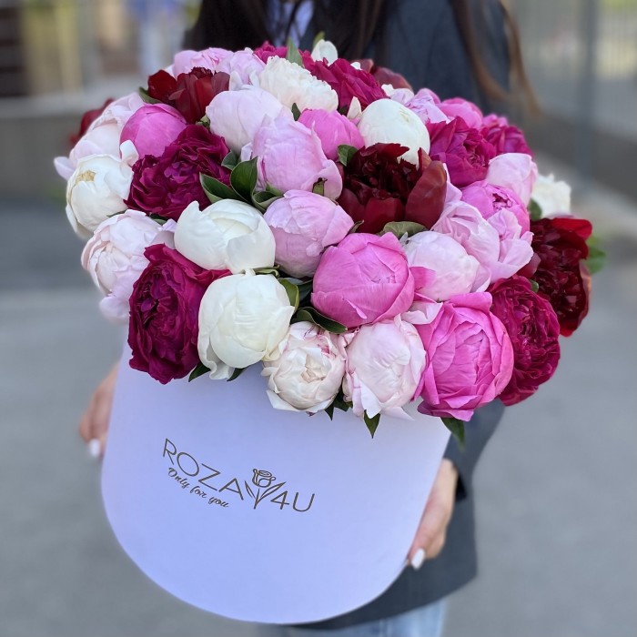 51 ароматный пион в коробке