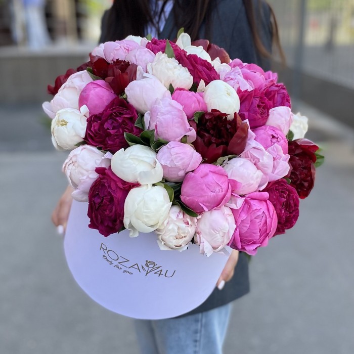 51 ароматный пион в коробке