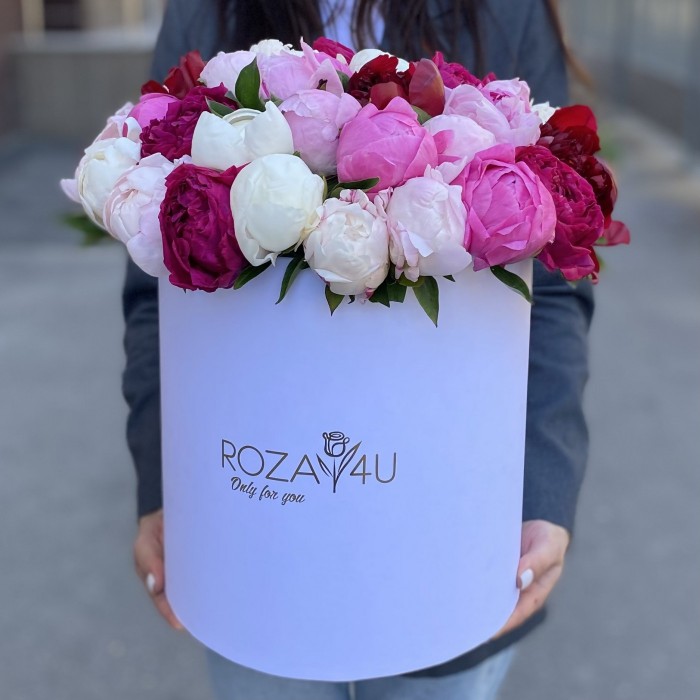 51 ароматный пион в коробке