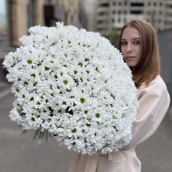 51 белая кустовая хризантема Бакарди