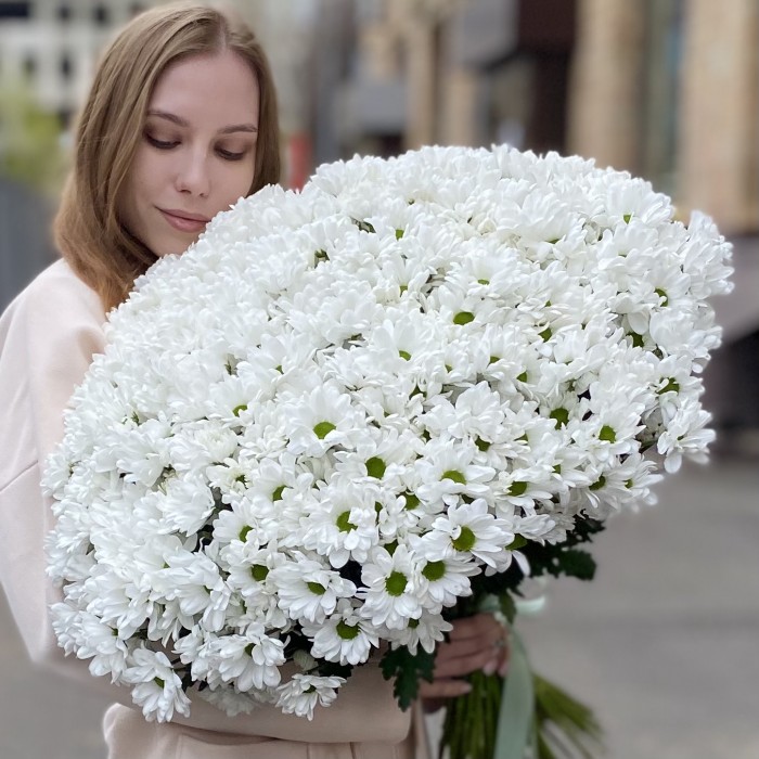 51 белая кустовая хризантема Бакарди