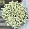 51 белая кустовая роза Сноу Бабл 80 см