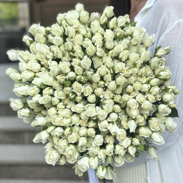 51 белая кустовая роза Сноу Бабл 80 см