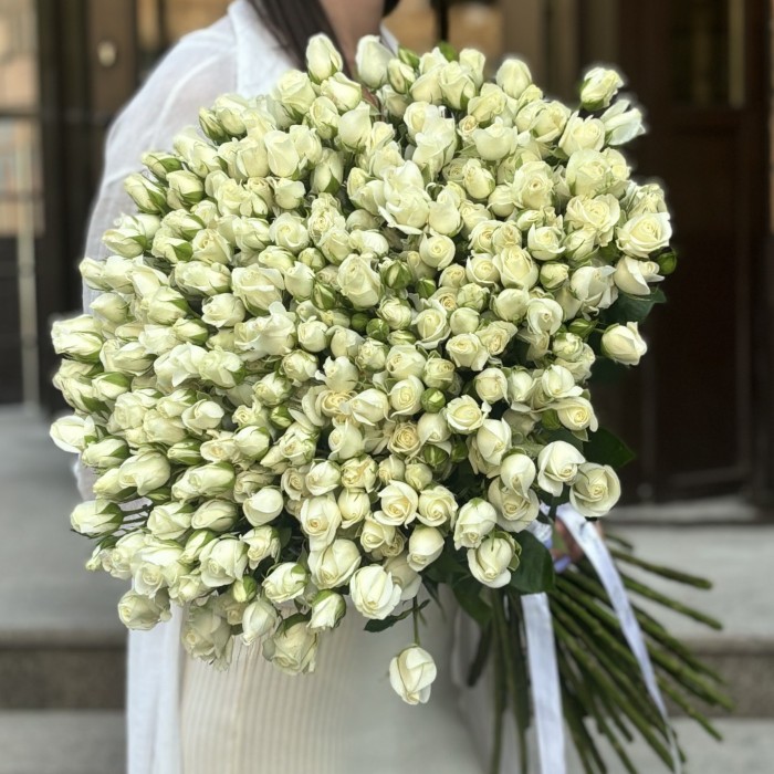 51 белая кустовая роза Сноу Бабл 80 см