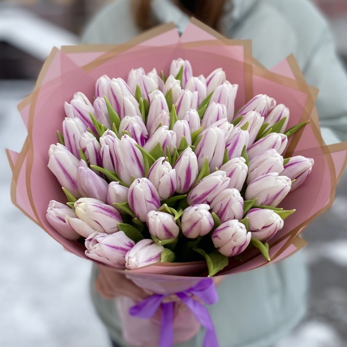51 бело-фиолетовый тюльпан Флеминг Флег