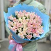 51  бело-розовый тюльпан Краун
