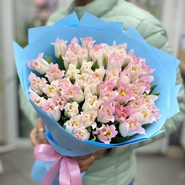 51  бело-розовый тюльпан Краун