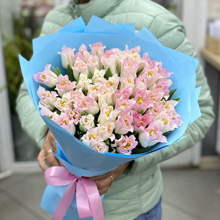 51  бело-розовый тюльпан Краун