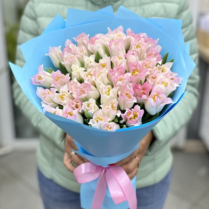 51  бело-розовый тюльпан Краун